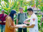lahan2
